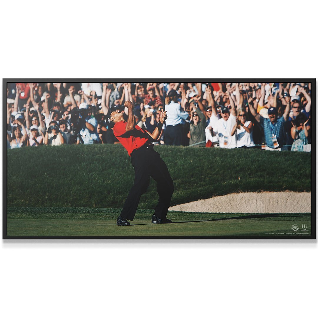 tiger woods give everything