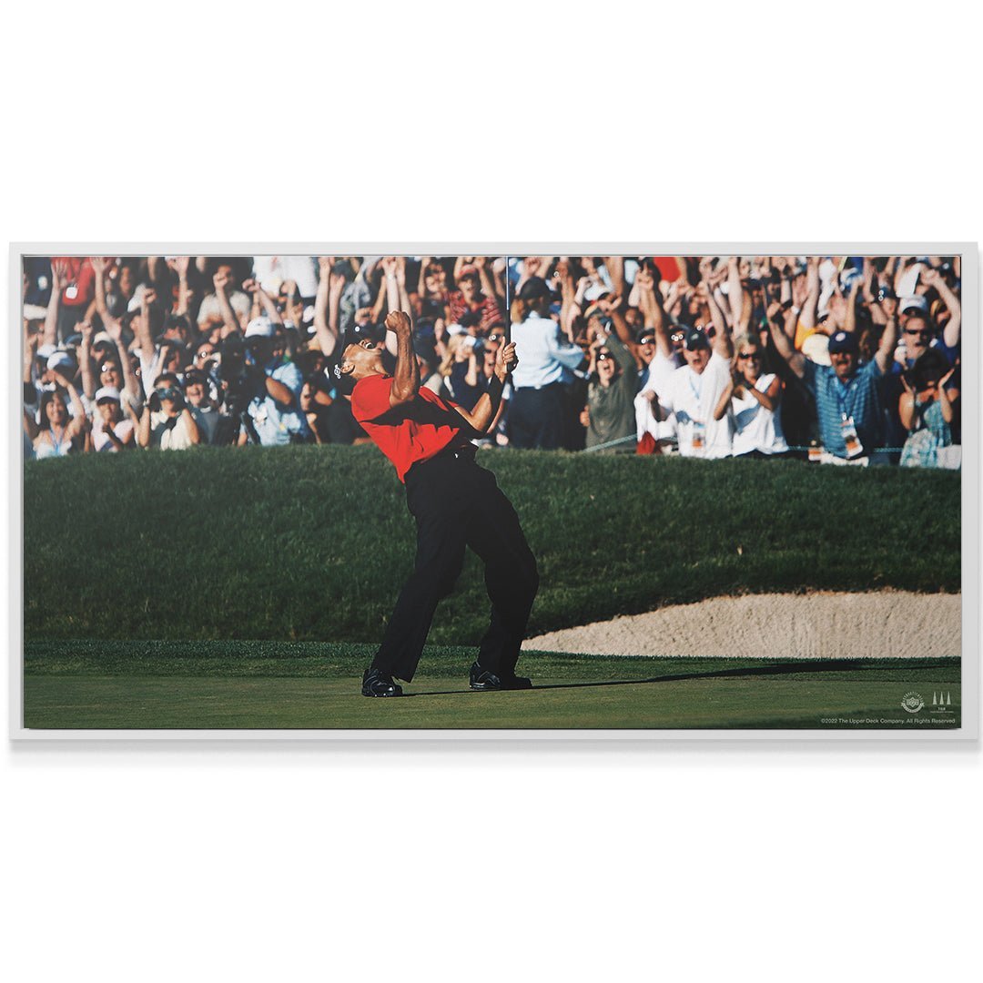 tiger woods give everything