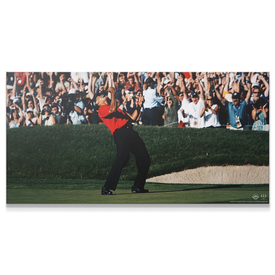 tiger woods give everything